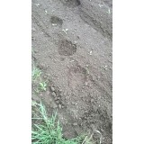 ヒグマ痕跡写真1