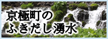 京極町のふきだし湧水