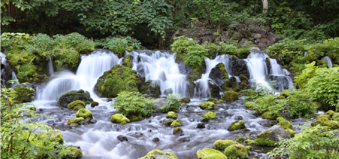 京極町のふきだし湧水のイメージ