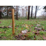 クリーンラーチとは？の画像2