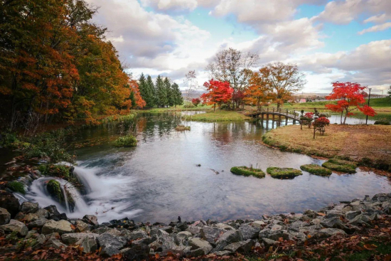 秋深まるの画像