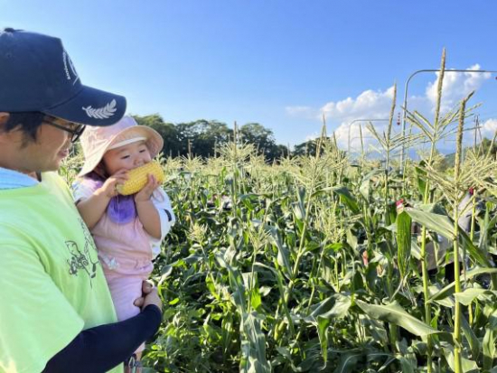 私の宝物の画像