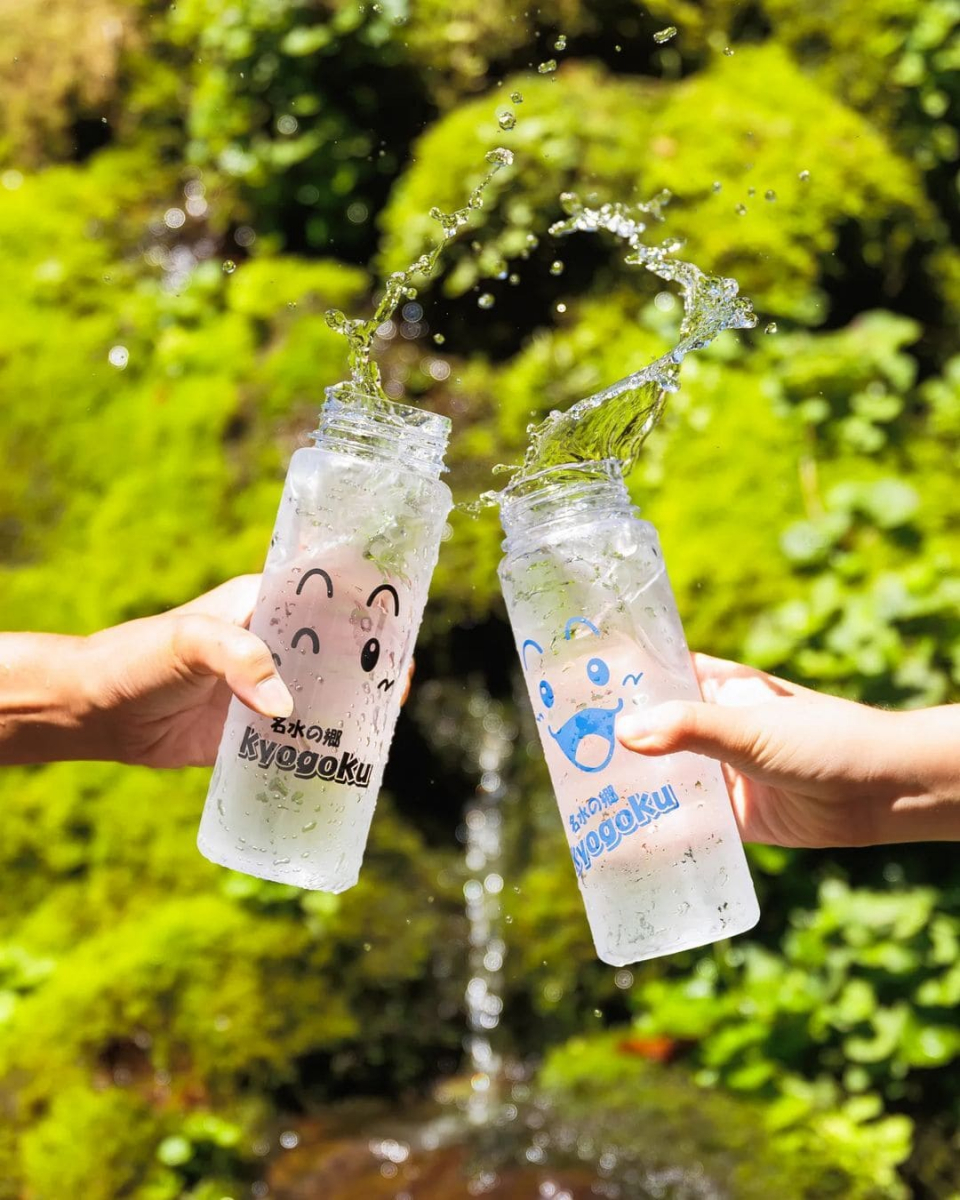 せーので乾杯の画像