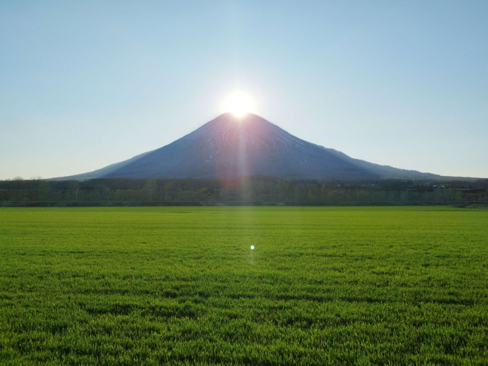 仕事帰りに、ふと見たらダイヤモンド羊蹄の画像