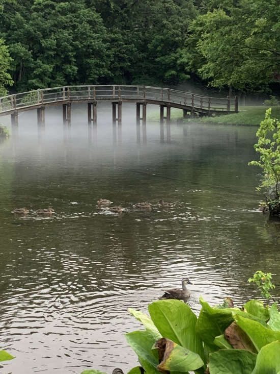 朝のふきだし公園の画像