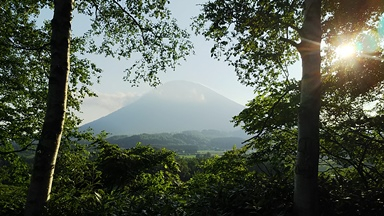 思い出の景色の画像