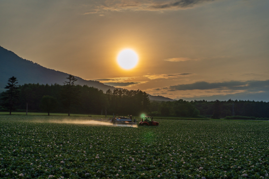 夕日とトラクターに芋畑と羊蹄山を添えての画像