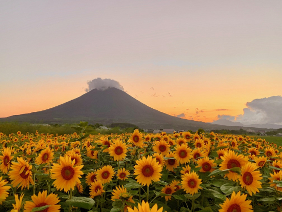 は～い撮るよぉ！みんなこっち向いて～！の画像