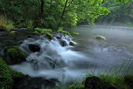 清流の画像