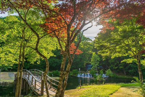 美しい水と木々に癒されての画像