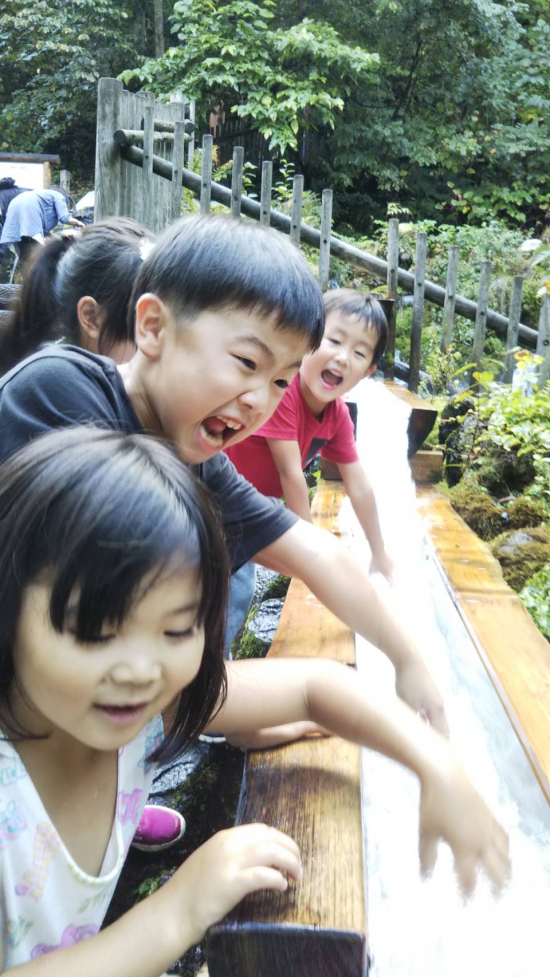 しゃっこいの画像