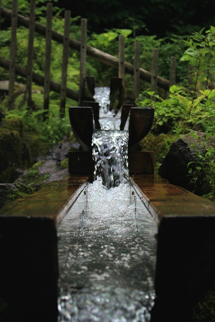 SpringWaterの画像