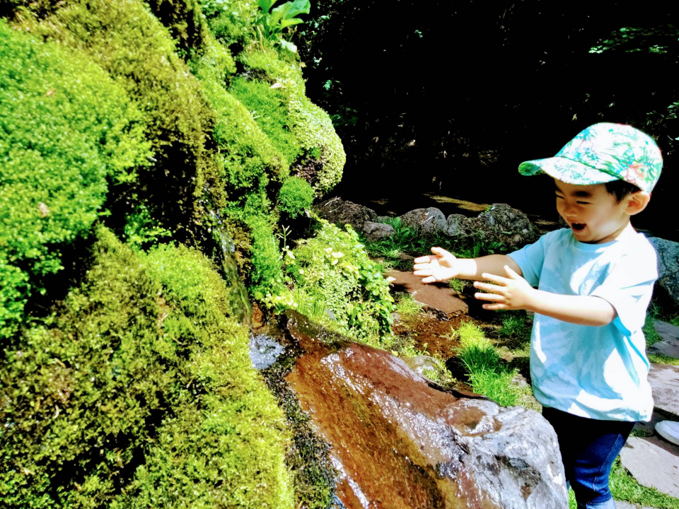 お水冷た～い！！の画像