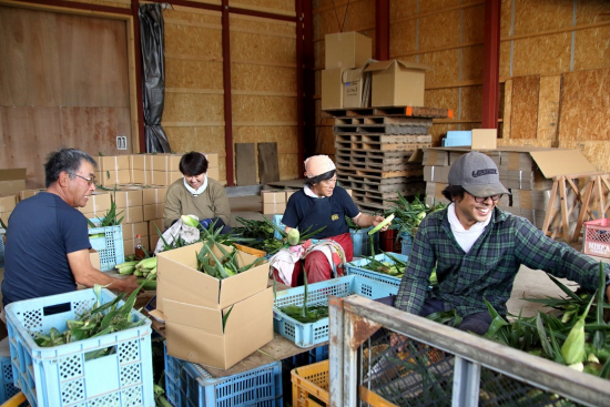 家族で農作業の画像