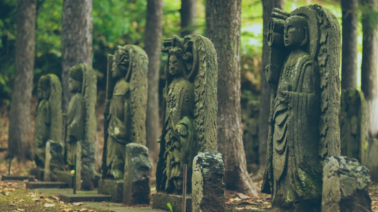 公園の静観者の画像