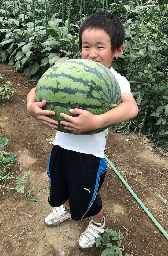 こんなに大きくなっちゃった～！の画像