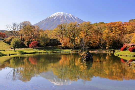 冠雪映えるの画像