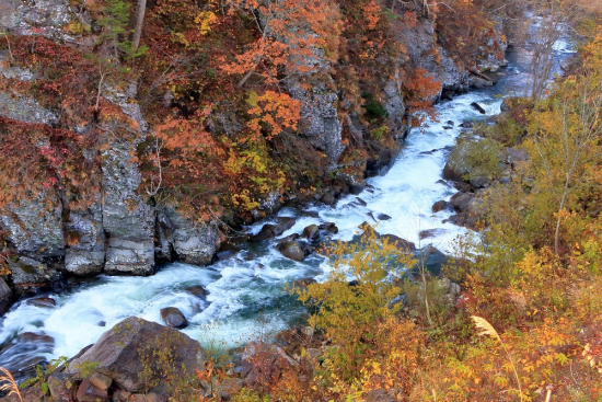 秋彩の渓谷の画像