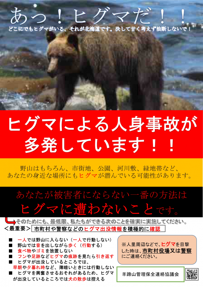 クマの目撃情報についての画像1