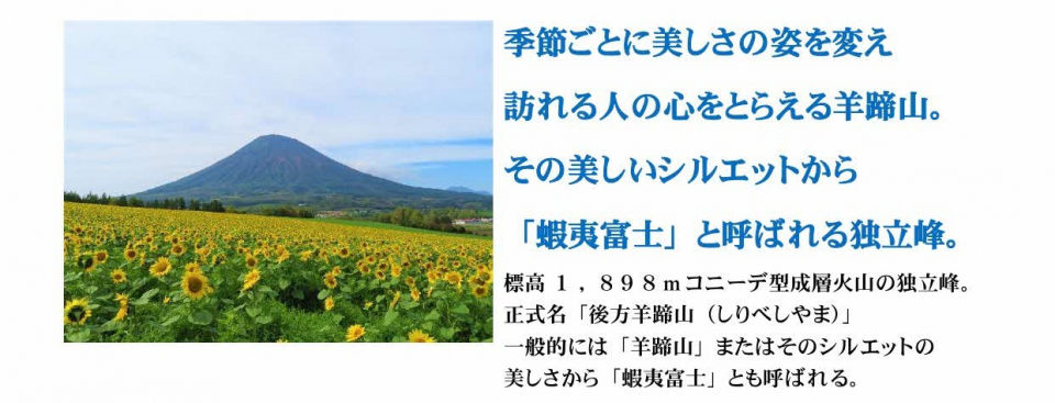 クマの目撃情報についての画像3