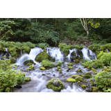 ふきだし公園の写真1