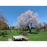 ふきだし公園の写真2