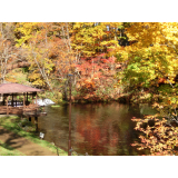 ふきだし公園の写真3