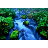 ふきだし公園の写真10