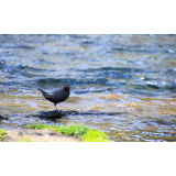 ふきだし公園の写真12