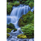 ふきだし公園の写真13