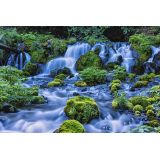 ふきだし公園の写真15