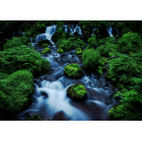 ふきだし公園の写真17