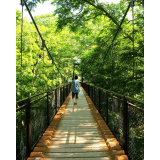 ふきだし公園の写真19