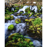 ふきだし公園の写真22