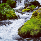 ふきだし公園の写真23