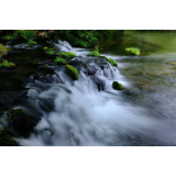 ふきだし公園の写真24