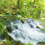 ふきだし公園の写真25