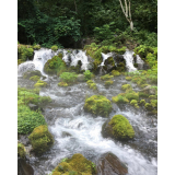 ふきだし公園の写真29