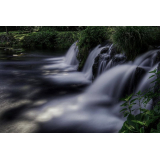 ふきだし公園の写真30