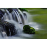 ふきだし公園の写真31