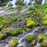 ふきだし公園の写真32