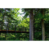 ふきだし公園の写真33