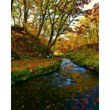 ふきだし公園の写真35