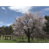 ふきだし公園の写真38