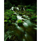 ふきだし公園の写真41