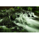 ふきだし公園の写真42