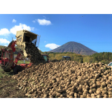 農村風景の画像1