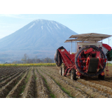 農村風景の画像3