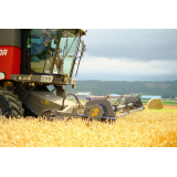 農村風景の画像5