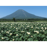 農村風景の画像9